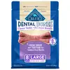 Blue dental bones clearance large