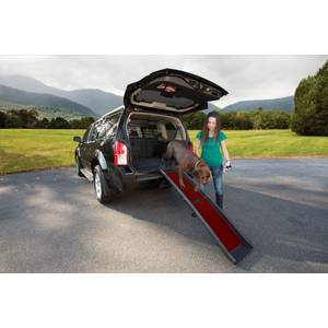 Kurgo wander sales dog ramp