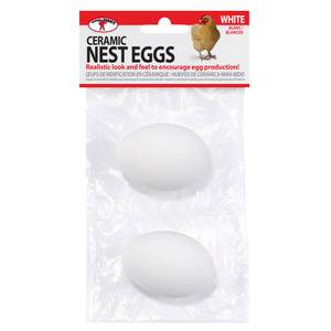 Ittle Giant Large Metal Wire Egg Basket For Collecting, Carrying, Cooling,  Washing, Or Drying Up To 8 Dozen Fresh Chicken Eggs, Black : Target