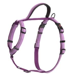 walk right harness