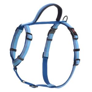 halti harness sizes