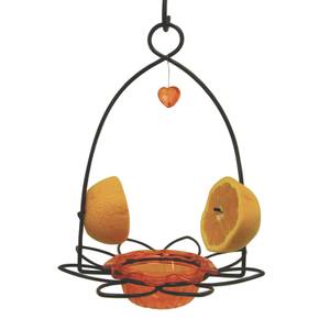 Birds Choice Oriole Flower Feeder, Cup for Jelly