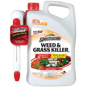 Spectracide 1.33 Gal Ready-To-Use Weed and Grass Killer