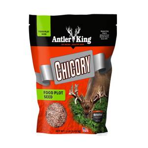 Antler King 1 lb Chicory Food Plot