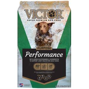 Victor clearance pestchaser dogs