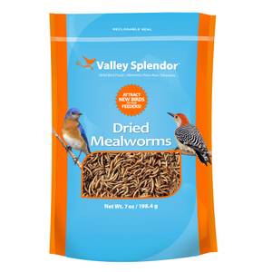 valley splendor dried mealworms