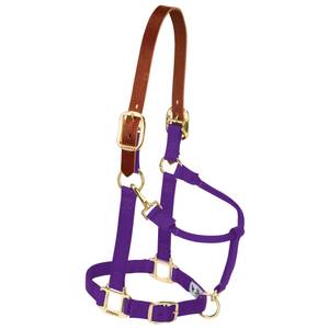 Weaver Leather Average Breakaway Adjustable Halter