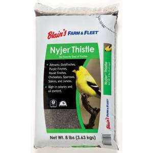 Blain's Farm & Fleet Nyjer Bird Feed, Signature Seed for Attracting Goldfinches and Songbirds