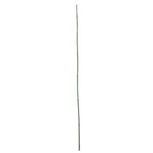 Gardener's Blue Ribbon 6-ft Bamboo Stake 6-Pack Natural | BB6N