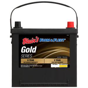 6-Year Gold Automotive Battery
