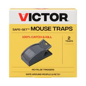 Tomcat Live Catch Mouse Trap In Action With Motion Cameras