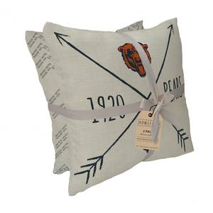 NFL Side Arrow Poly Span Decor Pillow ,Packers