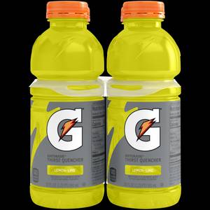 Gatorade 20 Oz. Fruit Punch Wide Mouth Thirst Quencher Drink (24-Pack) -  Deer Park, NY - The Barn Pet Feed & Supplies