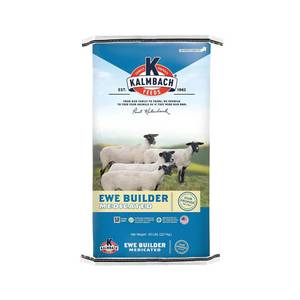 Kalmbach Feeds 16% Ewe Builder
