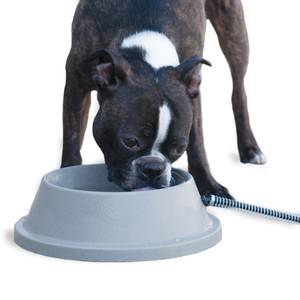 Pet lodge best sale water bowl