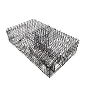 Havahart 1020 Mouse Trap In Action With Pet & Wild Mice. Live Catch Cage  Trap. 