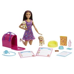 Barbie Fashionista Doll Assortment - FBR37