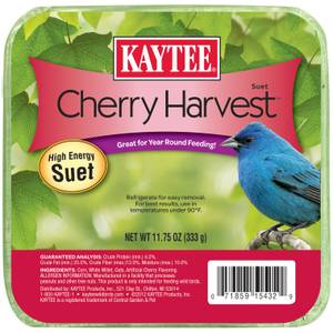 Kaytee Cherry Harvest High Energy Suet, 11.75 oz, High-Quality Beef Tallow