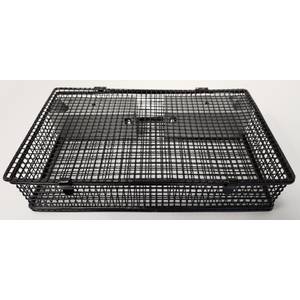 Catchmor Mouseinator