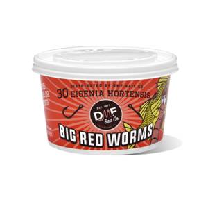 DMF Bait 30-Count Live Red Worms