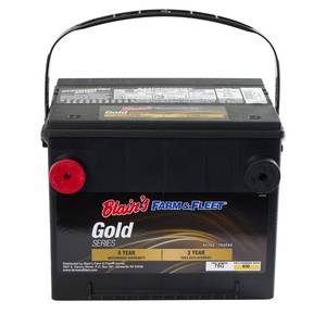 Blain's Farm &amp; Fleet Gold Automotive Battery, Group Size 75, 650 CCA, 90 RC