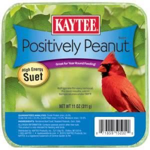 Kaytee Positively Peanut High Energy Suet, 11 oz with Roasted Peanut Chips