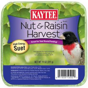 Kaytee Nut & Raisin Harvest Suet Cake, 11 oz, High-Quality Beef Tallow for Energy