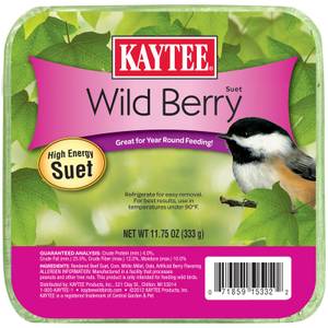 Kaytee Wild Berry High Energy Suet, 11.75 oz, Quality Beef Tallow