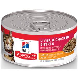 science diet td cat food