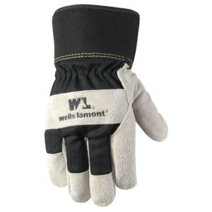 Wells Lamont - Unisex's Versatile Work Gloves Lightweight Durable  Comfortable Jersey 12Pair Bulk Pack - Murdoch's