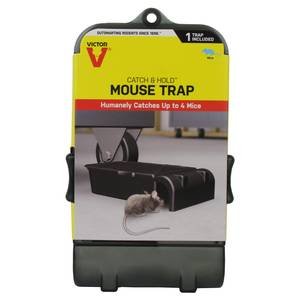 Victor M070-BULK Safe-Set Mouse Trap - 12 Traps , gray