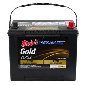 Blain's Farm &amp; Fleet Gold Automotive Battery, Group Size 24F, 650 CCA, 115 RC