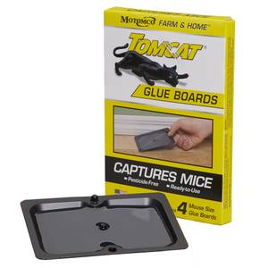 TOMCAT SPIN MOUSE TRAP – 2 PACK