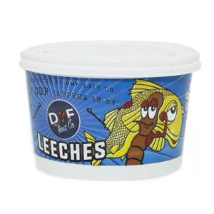 DMF Bait 18-24 Count Live Leeches