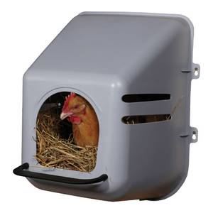 Harvest Lane Honey Chicken Nesting Box, Double