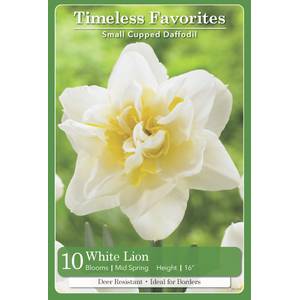 Longfield Gardens Daffodils, 100 count