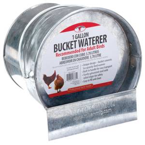 Little Giant 7906 3 Gallon Poultry Waterer for sale online 