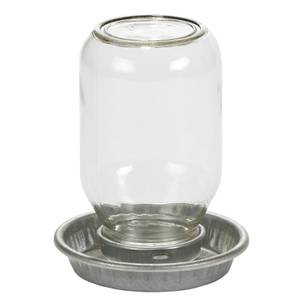 Little Giant Mason Jar Baby Chick Waterer