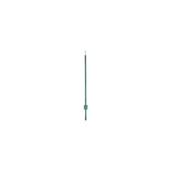 Photo of White Topped Studded T-Post