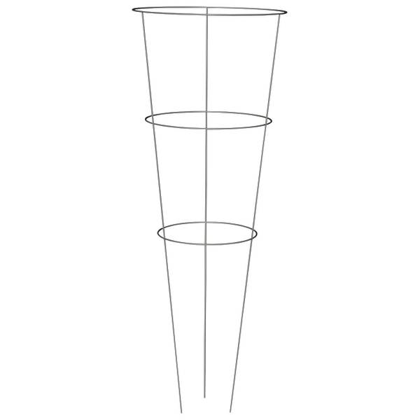 Photo of Galvanized Tomato Cage