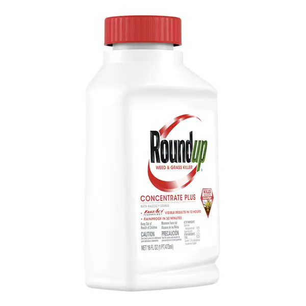 Roundup For Lawns 1-Gallon Ready to Use Lawn Weed Killer