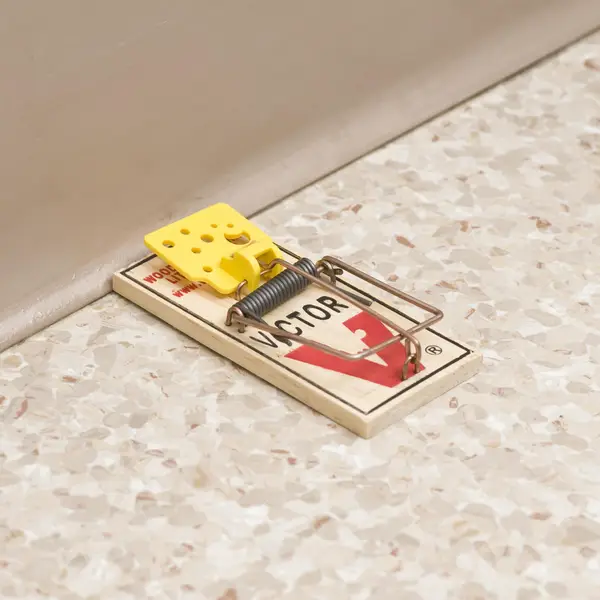 How To Set a Mousetrap