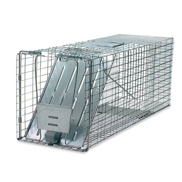 Humane Capture Animal Friendly Mouse Trap Cage Top Entry