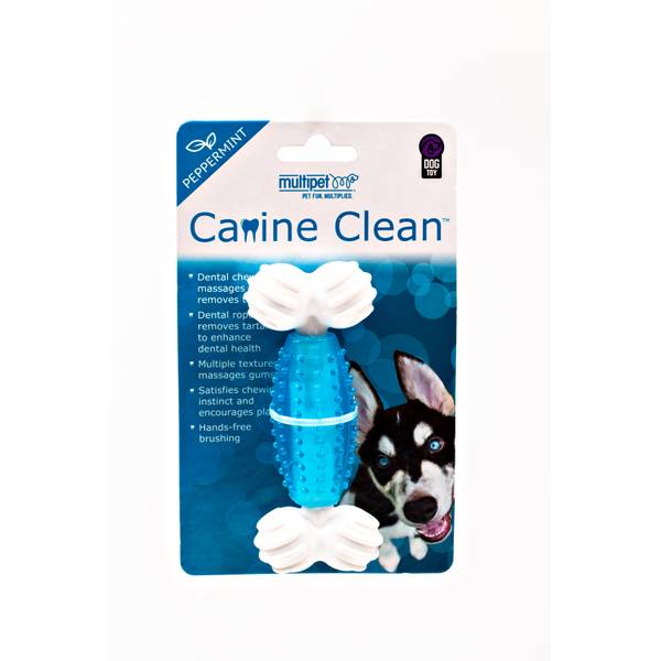 Multipet Canine Clean 5 in Peppermint Bone Dog Toy