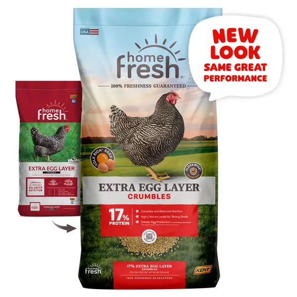 Kent 50 lb Home Fresh Extra Egg Poultry Layer Crumble - 3661
