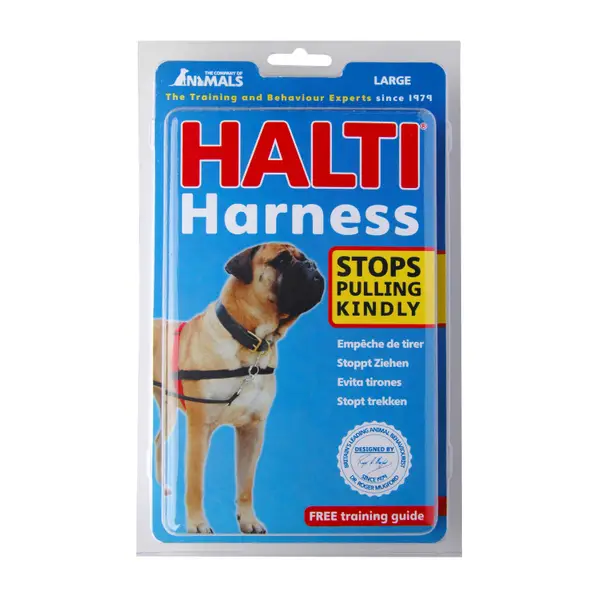 halti harness fitting
