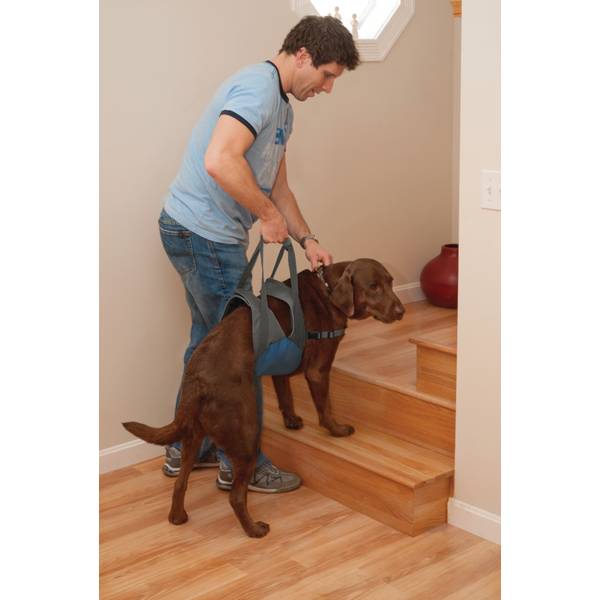 Kurgo Up and About Dog Lifter - K01181 | Blain's Farm & Fleet