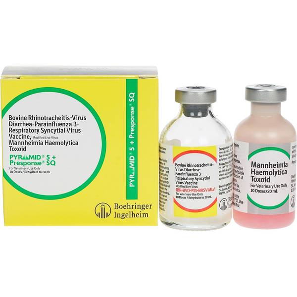 Photo of Pyramid 5+ Presponse SQ