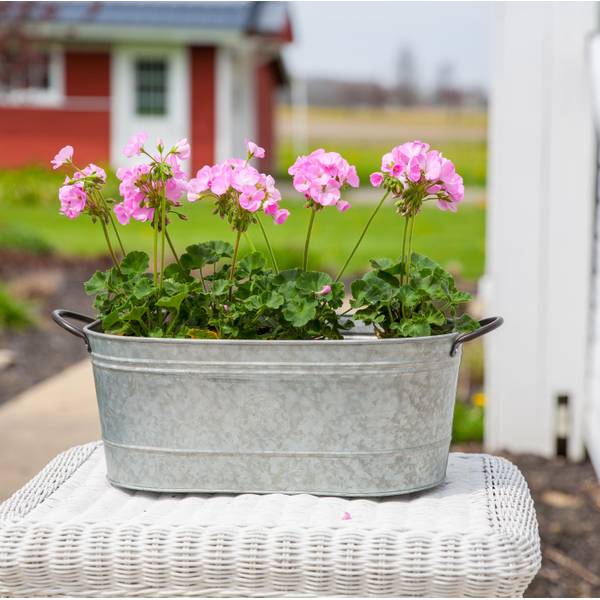 Panacea Galvanized Washtub Planter Blain S Farm Fleet