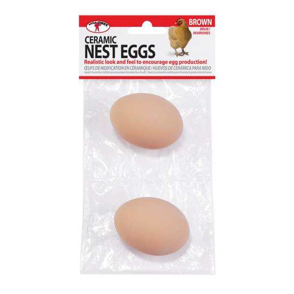 Little Giant Egg Carton